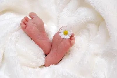 低体重儿如何科学喂养 怎样护理低体重宝宝