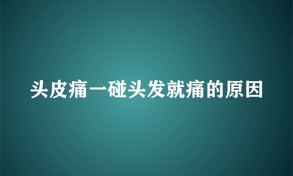 头皮痛一碰头发就痛的原因