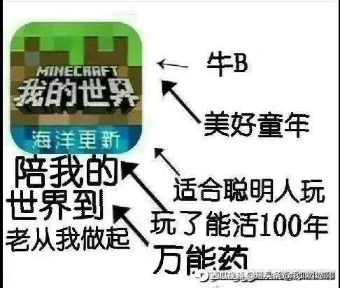 对于最近迷你世界玩家炸了我的世界ice服务器这件事你怎么看?