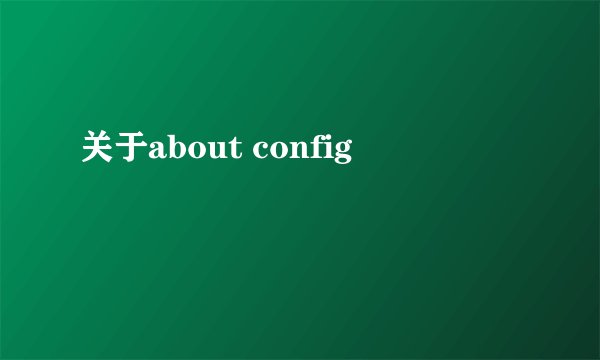 关于about config