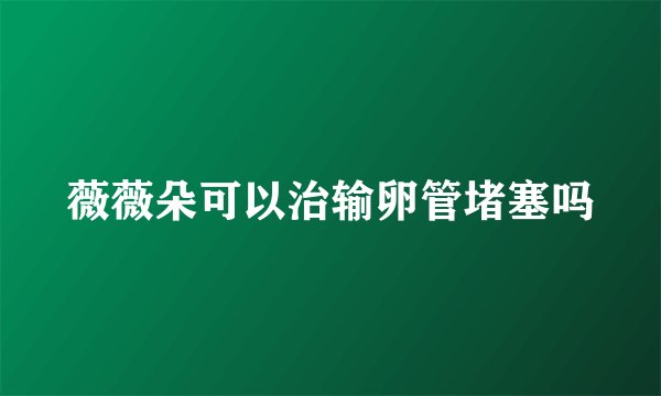 薇薇朵可以治输卵管堵塞吗