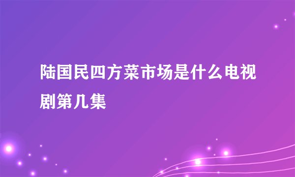 陆国民四方菜市场是什么电视剧第几集