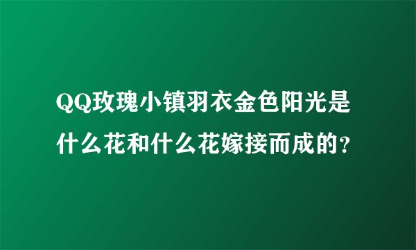 QQ玫瑰小镇羽衣金色阳光是什么花和什么花嫁接而成的？