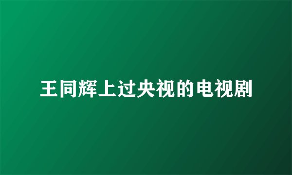 王同辉上过央视的电视剧