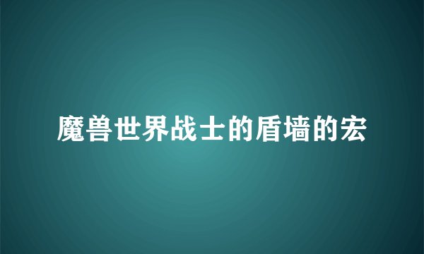 魔兽世界战士的盾墙的宏