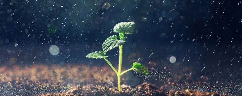 一个季度是几个月 一个季度是几个月多少天