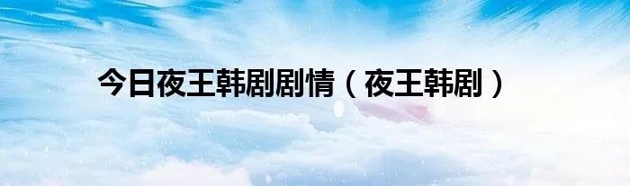 今日夜王韩剧剧情（夜王韩剧）