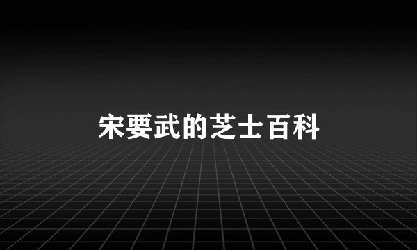宋要武的芝士百科