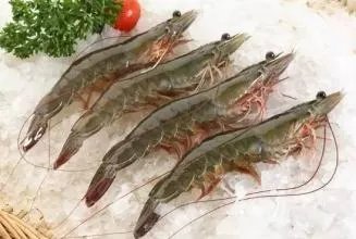 注胶虾到底是怎么回事?