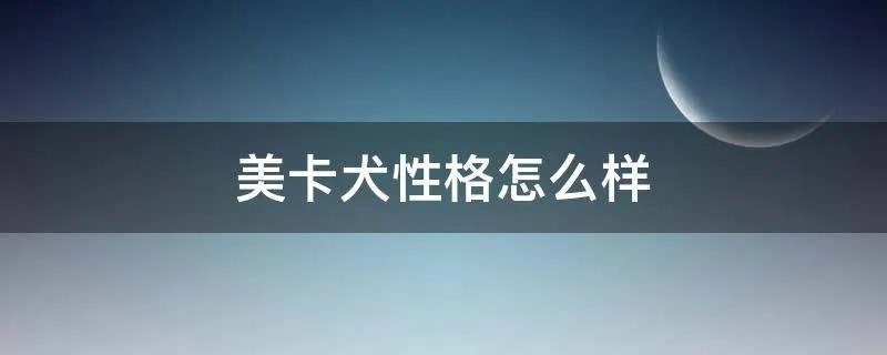 美卡犬