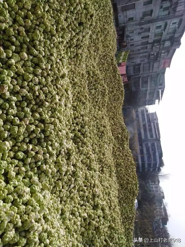 涪陵榨菜什么牌子的好?