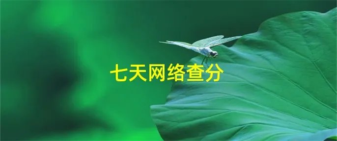 七天网络查分