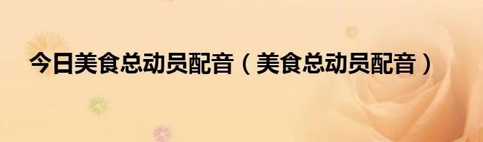 今日美食总动员配音（美食总动员配音）