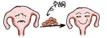 试管价格-spa蛇毒试管面膜多少钱? spa试管面膜价格