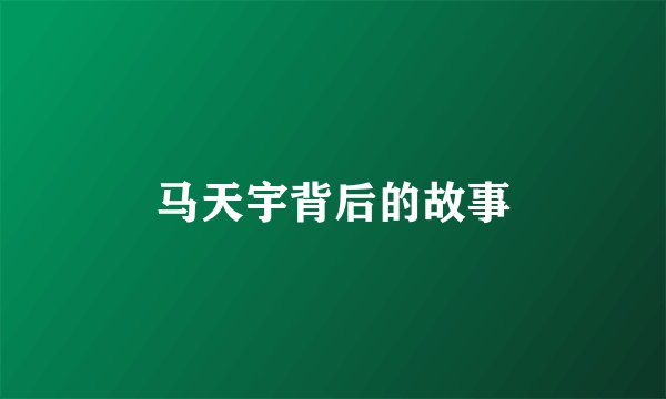 马天宇背后的故事