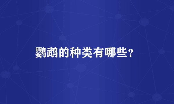 鹦鹉的种类有哪些？