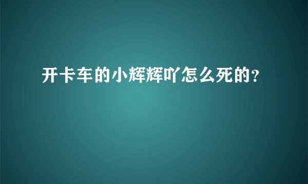开卡车的小辉辉吖怎么死的？