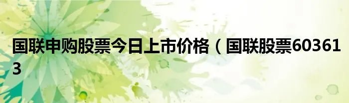 国联申购股票今日上市价格（国联股票603613