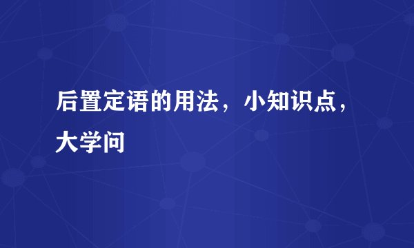 后置定语的用法，小知识点，大学问