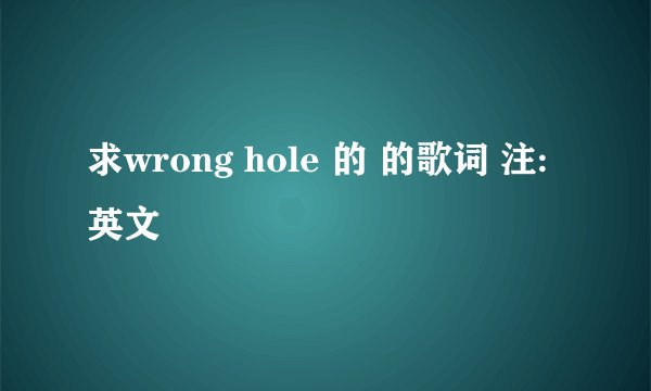 求wrong hole 的 的歌词 注:英文