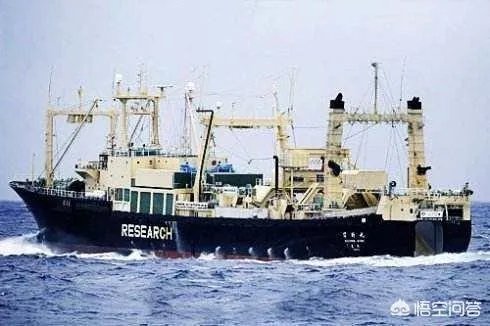 日本退出《全球禁止捕鲸公约》是出于政治目的还只是经济目的?