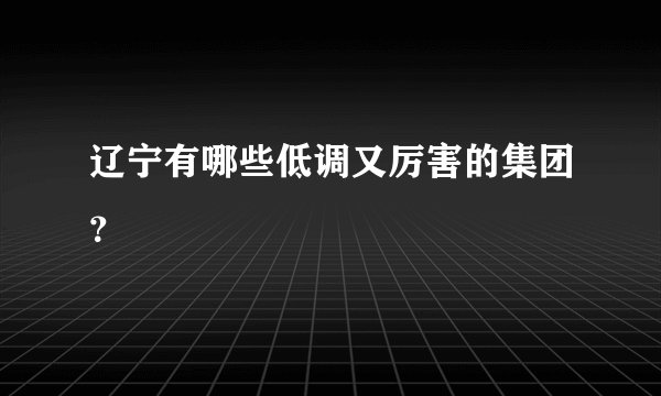 辽宁有哪些低调又厉害的集团？