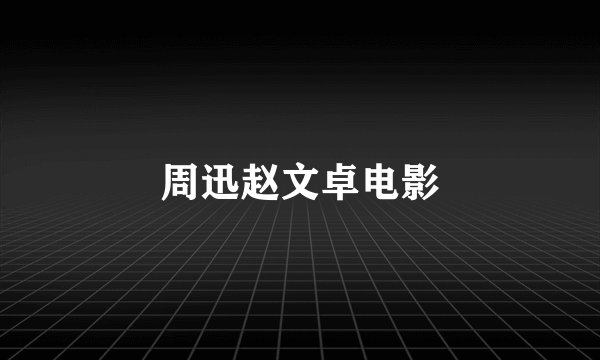 周迅赵文卓电影
