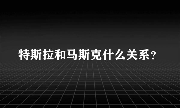 特斯拉和马斯克什么关系？