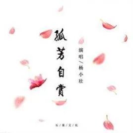 孤芳自赏歌词杨小壮