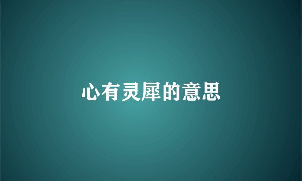 心有灵犀的意思
