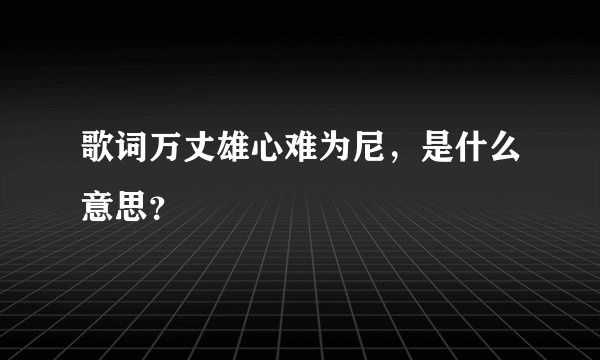 歌词万丈雄心难为尼,是什么意思?