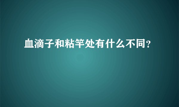 血滴子和粘竿处有什么不同？
