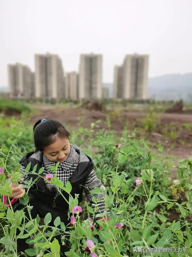 小朋友中医启蒙如何入门?