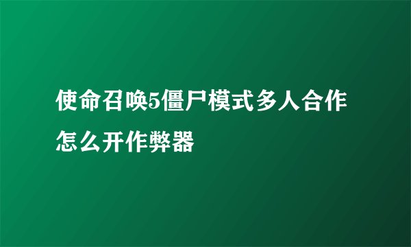 使命召唤5僵尸模式多人合作怎么开作弊器