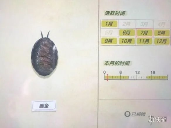 《集合啦动物森友会》海洋生物有哪些?海洋生物价格图鉴