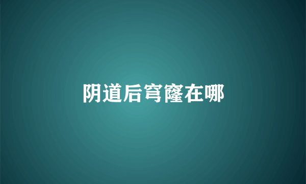 阴道后穹窿在哪