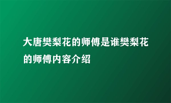 大唐樊梨花的师傅是谁樊梨花的师傅内容介绍