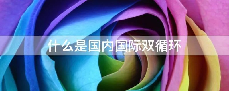 什么是国内国际双循环