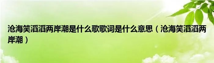 沧海笑滔滔两岸潮是什么歌歌词是什么意思（沧海笑滔滔两岸潮）
