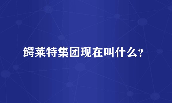 鳄莱特集团现在叫什么？