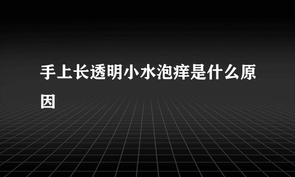 手上长透明小水泡痒是什么原因