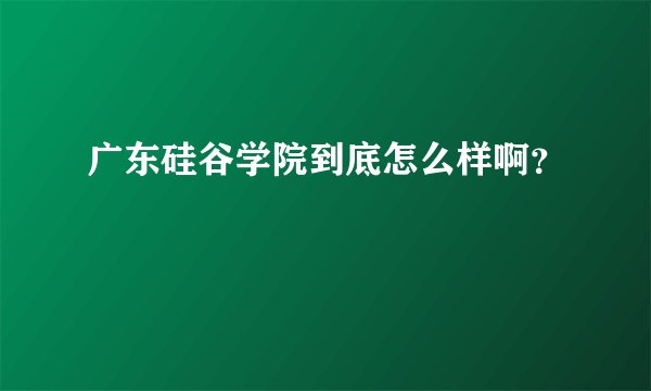 广东硅谷学院到底怎么样啊?