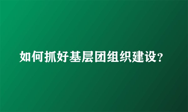 如何抓好基层团组织建设?