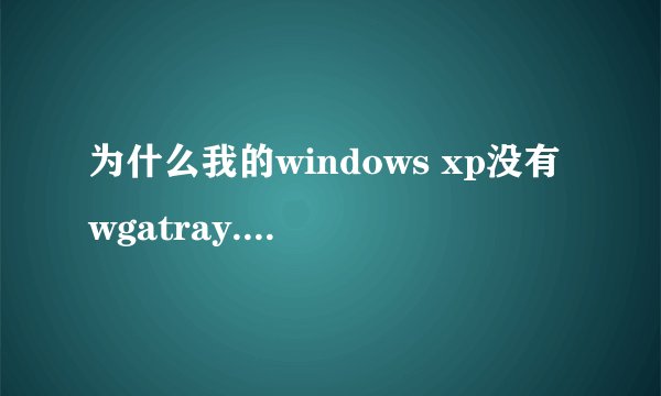 为什么我的windows xp没有wgatray.exe。想删除激活都不行,求大神解答