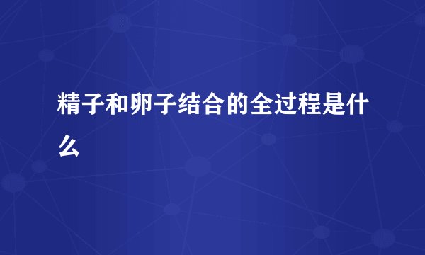 精子和卵子结合的全过程是什么