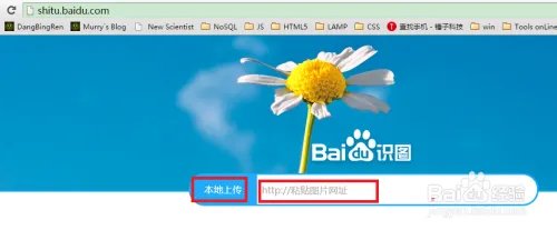以图搜图，百度识图搜图大全