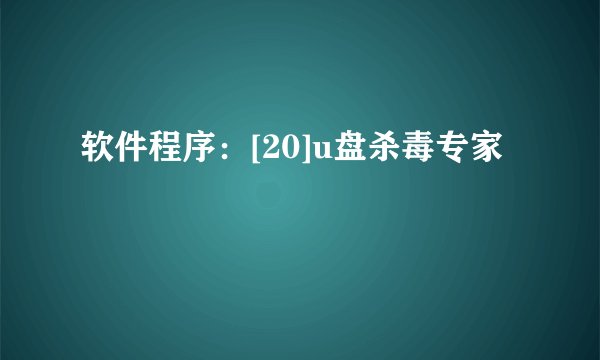 软件程序：[20]u盘杀毒专家