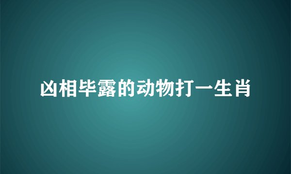 凶相毕露的动物打一生肖