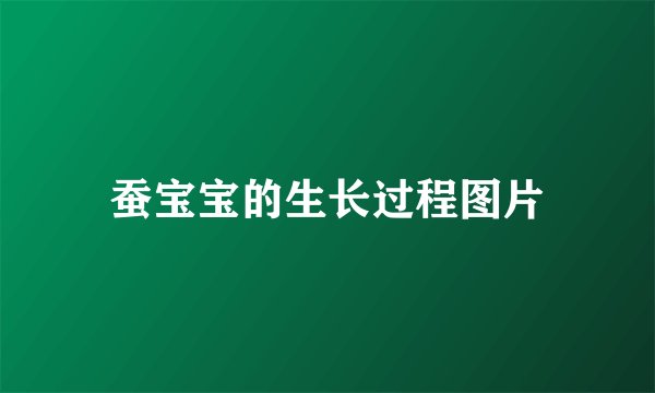 蚕宝宝的生长过程图片