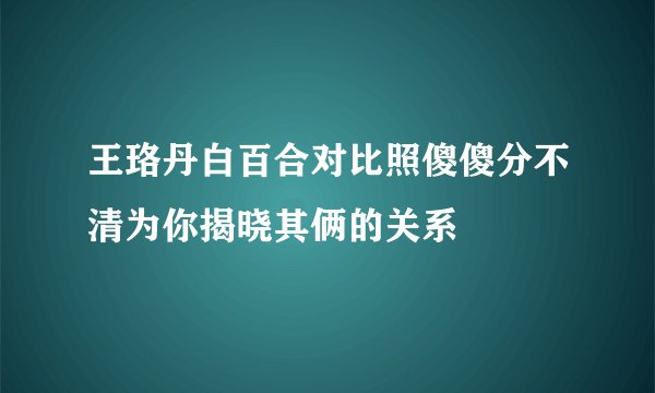王珞丹白百合对比照傻傻分不清为你揭晓其俩的关系